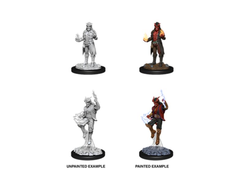 D&D - Nolzur's Marvelous Miniatures - Male Tiefling Sorcerer  (schaal 1:25)