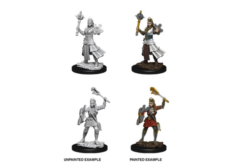 D&D - Nolzur's Marvelous Miniatures - Female Human Cleric (schaal 1:25)