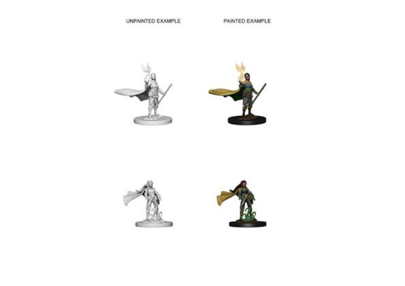 D&D  - Nolzur's Marvelous Miniatures - Elf Female Druid (schaal 1:25)