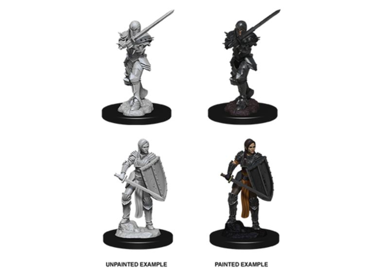 D&D  - Nolzur's Marvelous Miniatures - Female Human Fighter (schaal 1:25)