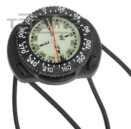 compass with bungee mount