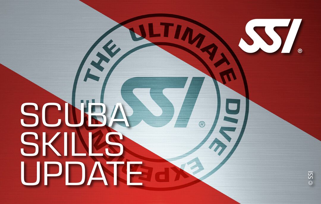 Opleiding SSI Scuba Skills Update