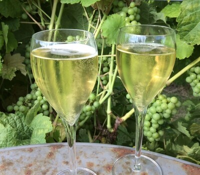 Bubbels
