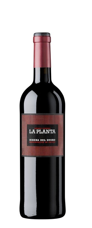 Arzuaga la Planta