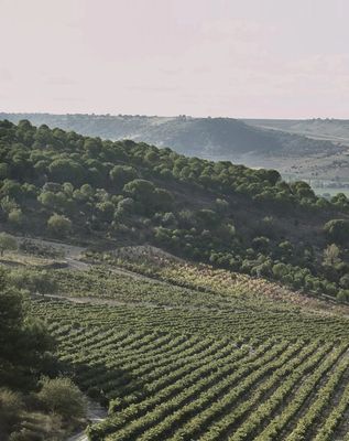 Spanje