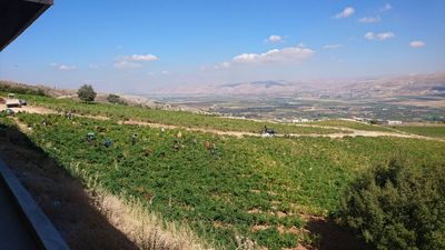 Libanon