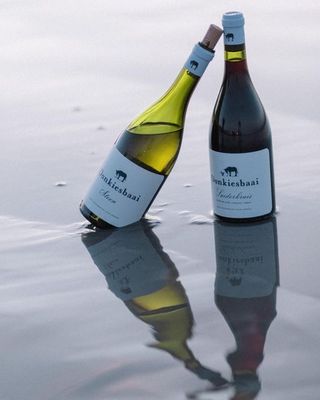 Donkiesbaai