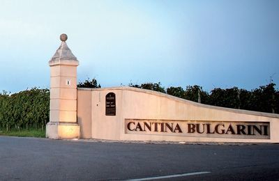 Bulgarini