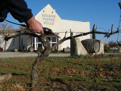 Domaine Pierre Belle