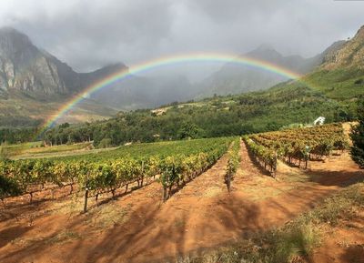 Rainbow's End