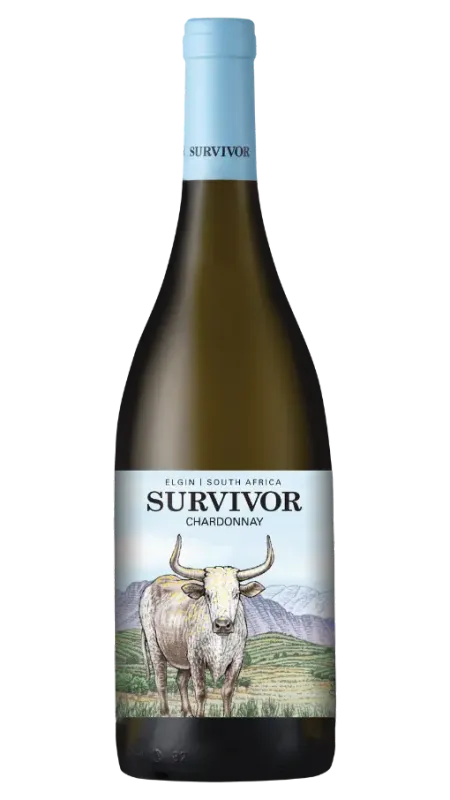 witte wijn Survivor Chardonnay uit Elgin, Zuid-Afrika bij Vinenco