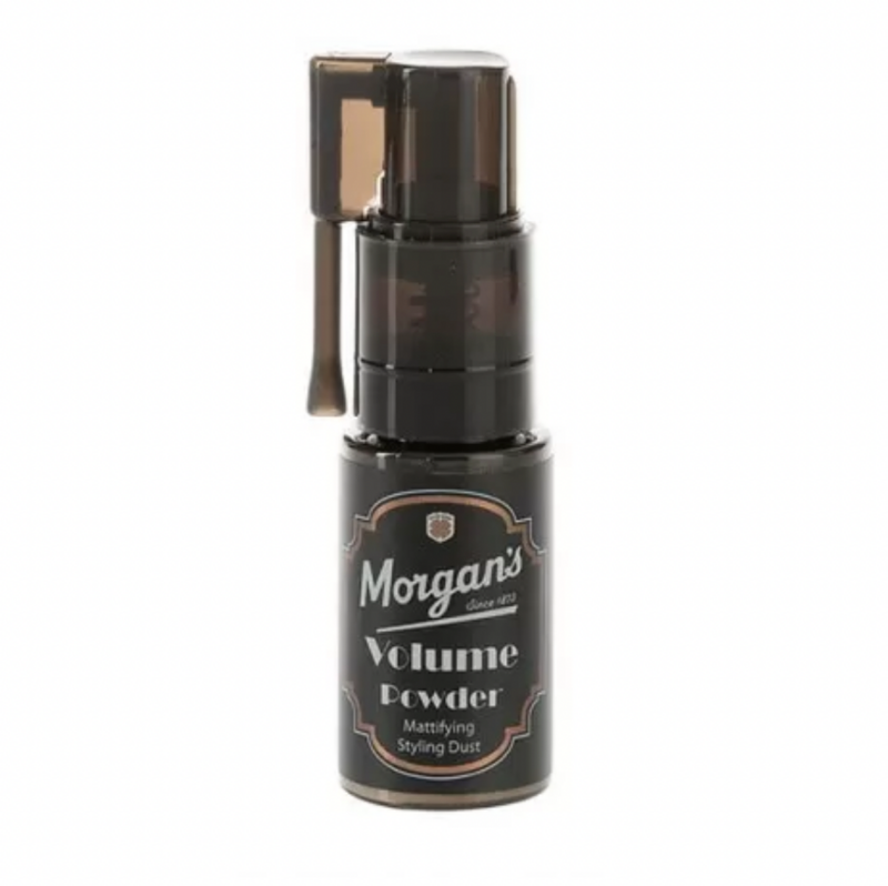 Poudre Coiffante Matifiante