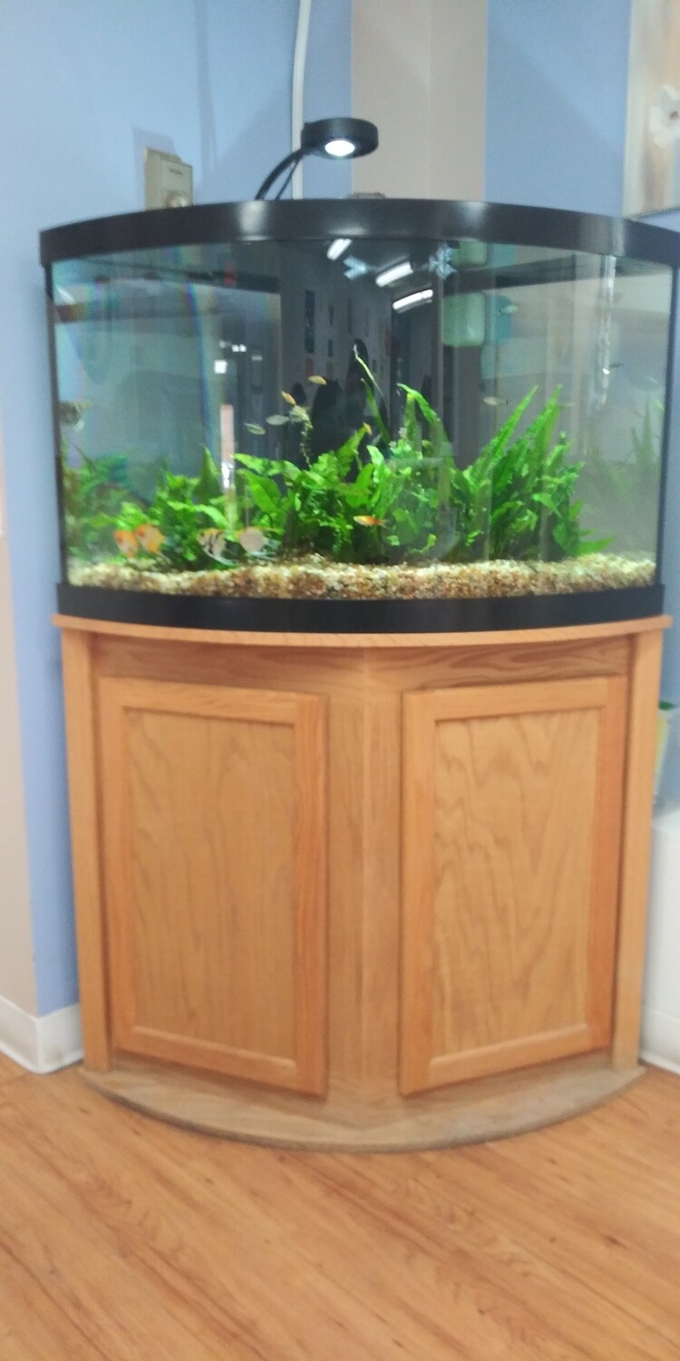 60 Gallon Corner aquarium and stand
