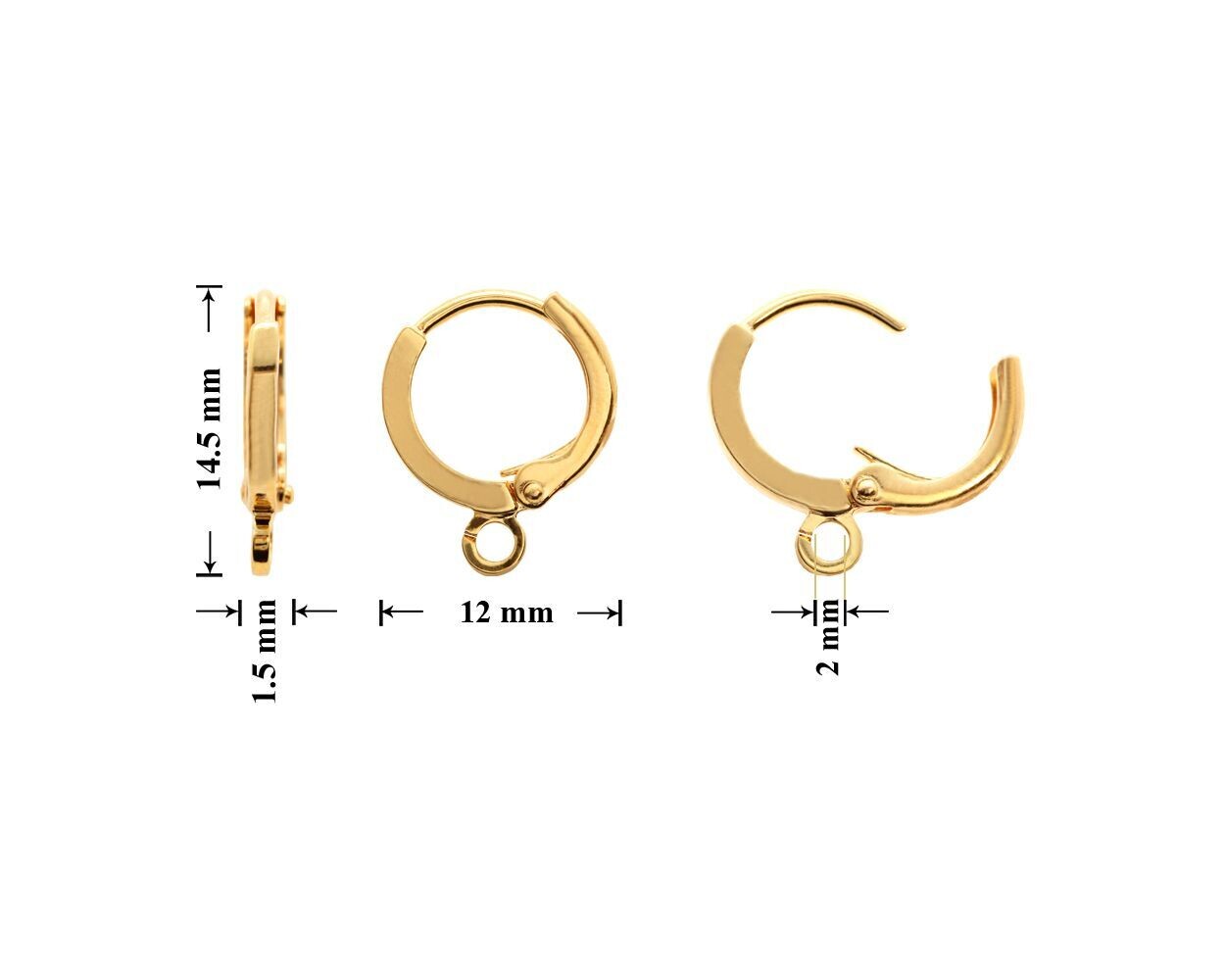 Leverback Hoops 14.5x12mm GP