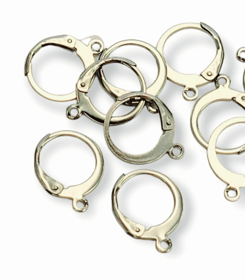 12mm Stainless Steel Leverback Earrings 5pairs