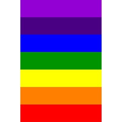 Rainbow / Pride Tapestry