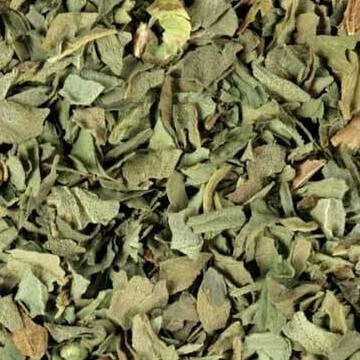 Basil