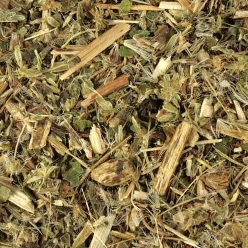 Boneset