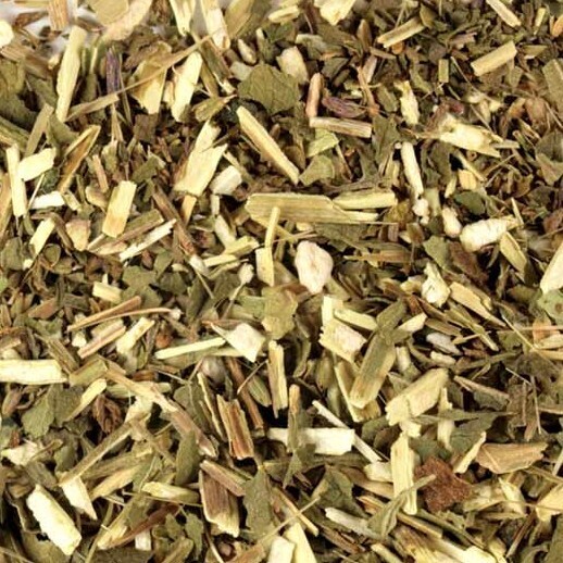 Blue Vervain
