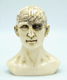 6&quot; Phrenology Skull