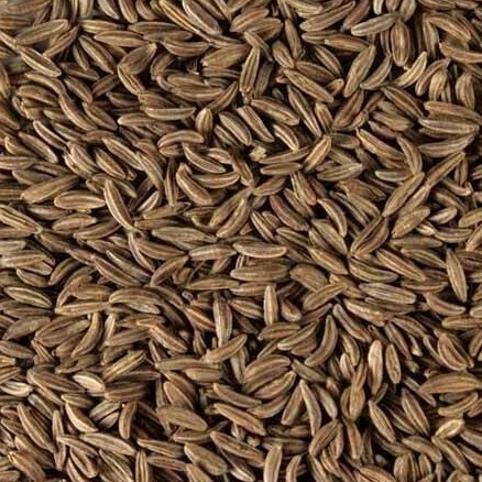 Caraway Seed: Organic