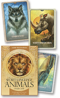 Tarot - Oracle - Other Decks