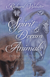 Dreams