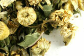 Chamomint Tisane
