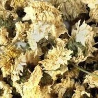 Chrysanthemum Flowers