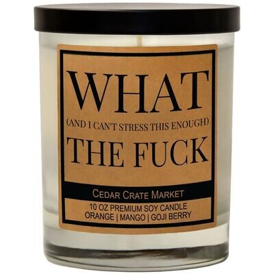 What (And I Can&#39;t Stress This Enough) The Fuck