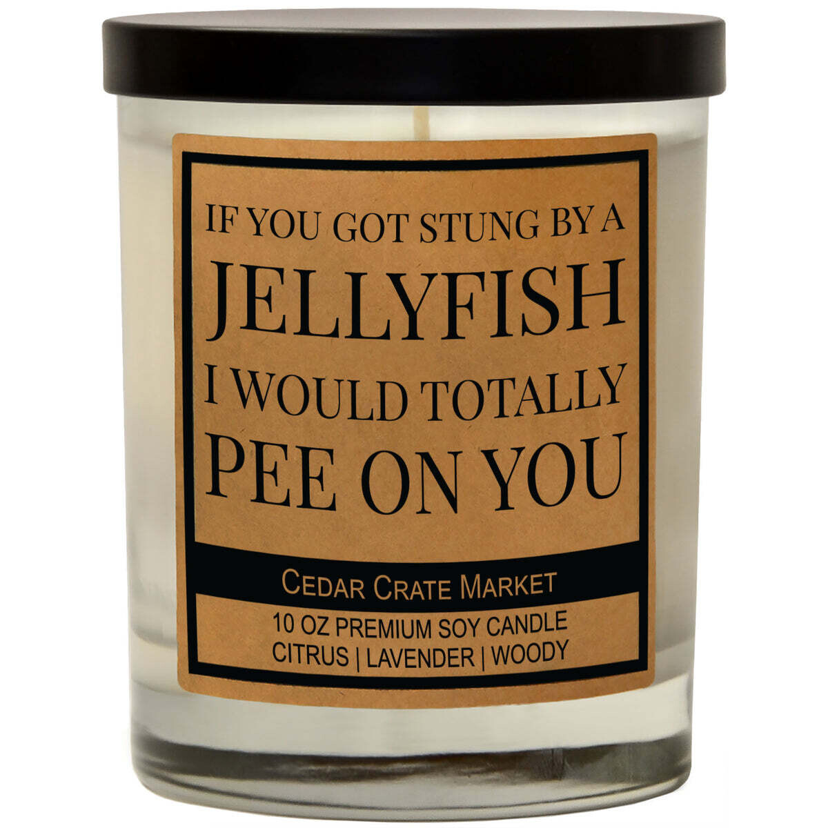 If You Got Stung By A Jellyfish I Would Pee On You