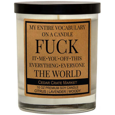 My Entire Vocabulary On A Candle (soy)