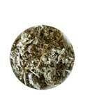 Cinquefoil (1 oz)