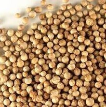 Coriander Seed