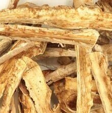 Devil&#39;s Club Root Bark (1 oz)