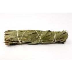 Eucalyptus Smudge Bundle 4&quot;L