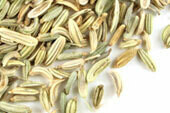 Fennel Seed