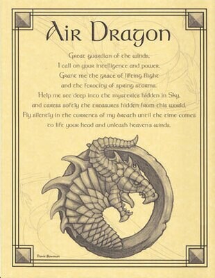 11&quot; AIR DRAGON POSTER