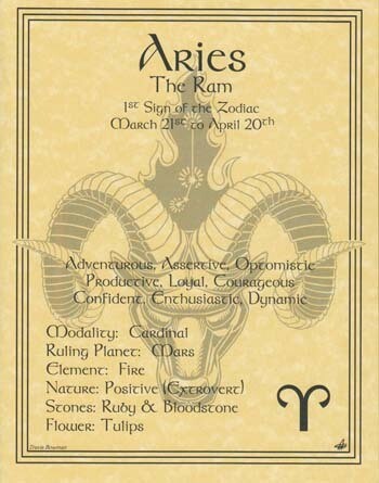 11&quot; Aries Zodiac Poster