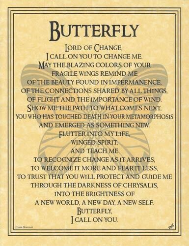 11&quot; Butterfly Prayer Poster