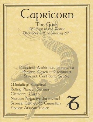 11&quot; Capricorn Zodiac Poster