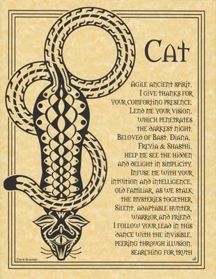 11&quot; Cat Prayer Poster