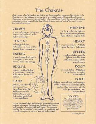 11&quot; Chakras Poster