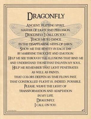 11&quot; Dragonfly Poster