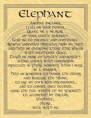 11&quot; Elephant Prayer Poster