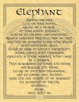 11&quot; Elephant Prayer Poster