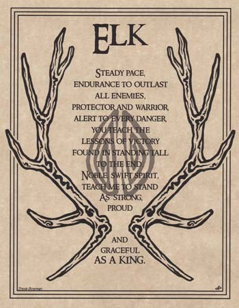 11&quot; Elk Prayer Poster