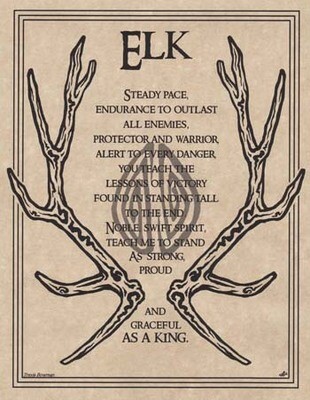 11&quot; Elk Prayer Poster
