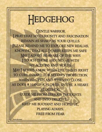 11&quot; Hedgehog Prayer Poster