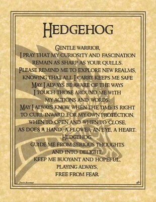 11&quot; Hedgehog Prayer Poster